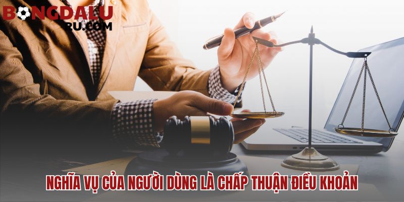 Truy cập website đồng nghĩa chấp thuận mọi điều khoản