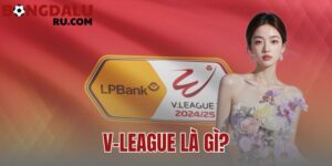 V-League Là Gì? Thể Thức Thi Đấu Và Các CLB Nổi Bật